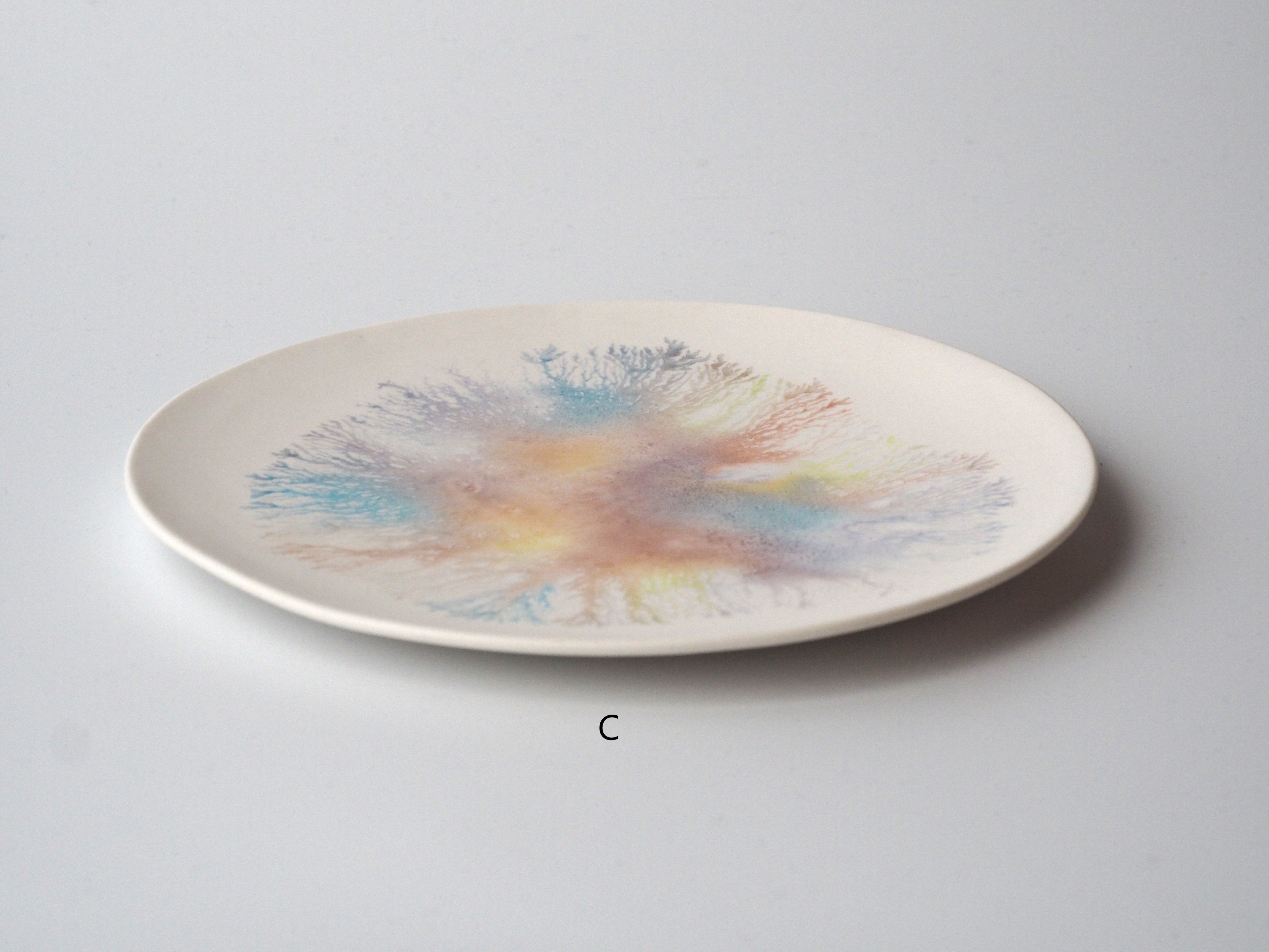 片瀬有美子／moca plate M – phaseii